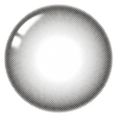 Lenstown 1-Day 247 Bom Gray (10 Pack)